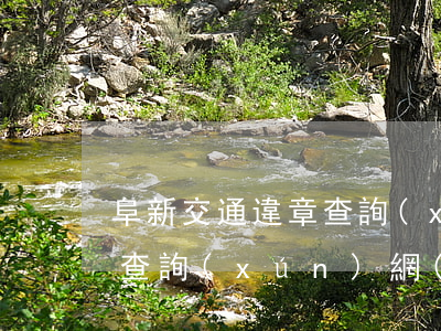 阜新交通違章查詢(xún)(阜新交通違章查詢(xún)網(wǎng)官方)
