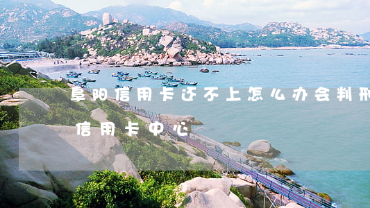 阜阳信用卡还不上怎么办会判刑吗-阜阳市信用卡中心