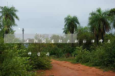 阜阳同居财产纠纷律师怎么委托(阜阳免费律师咨询)