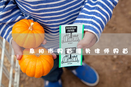 阜阳市界首债务律师(界首律师联系方式)