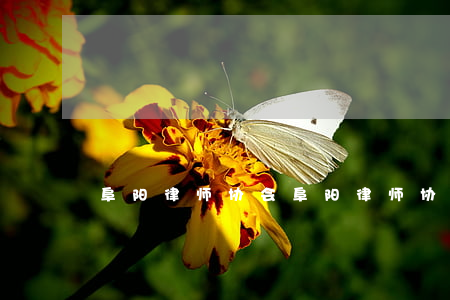 阜阳律师协会(阜阳律师协会是私企吗)