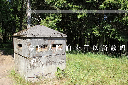 阜阳法院拍卖可以贷款吗(司法拍卖可以贷款吗)