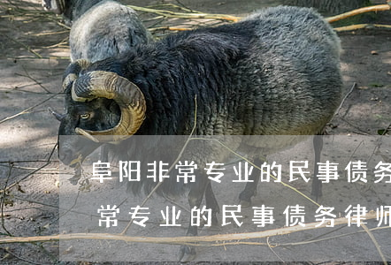 阜阳非常专业的民事债务律师服务-阜阳非常专业的民事债务律师服务所