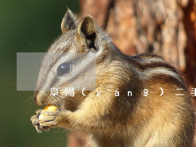 阜陽(yáng)二手房出售信息