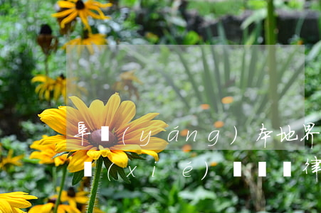 阜陽(yáng)本地界首市債務(wù)協(xié)議糾紛律師-阜陽(yáng)界首律師電話
