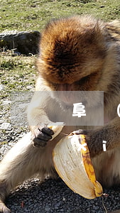 阜陽(yáng)請(qǐng)離婚協(xié)議糾紛律師多少錢(阜南律師專業(yè)辦離婚)