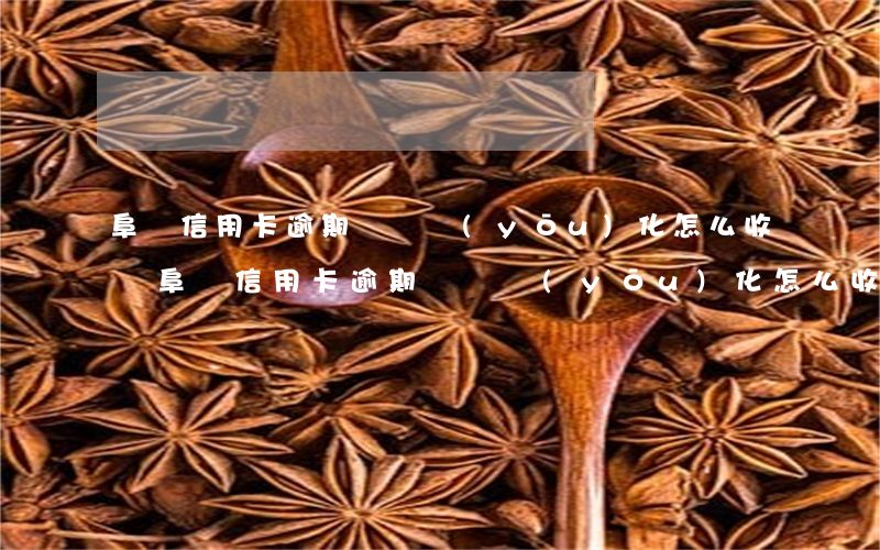 阜陽信用卡逾期債務優(yōu)化怎么收費（阜陽信用卡逾期債務優(yōu)化怎么收費）