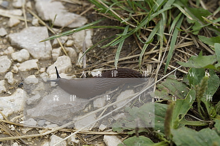 阜陽大森律師事務(wù)所怎么樣(阜陽大森律師事務(wù)所怎么樣)