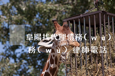 阜陽找代理債務(wù)律師(阜陽找代理債務(wù)律師電話)