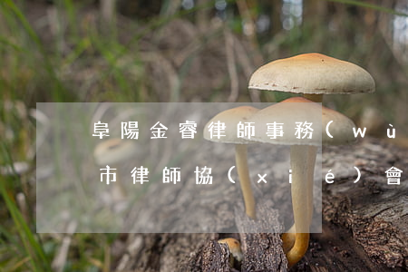阜陽金睿律師事務(wù)所人員名單(阜陽市律師協(xié)會)