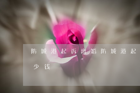 防城港起诉离婚(防城港起诉离婚委托律师多少钱)
