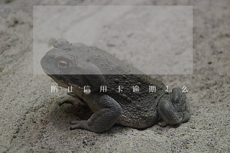 防止信用卡逾期怎么辦