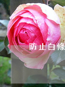 防止白條逾期(白條逾期過)