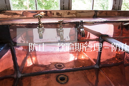 防止貸款逾期管理-防止貸款逾期管理辦法
