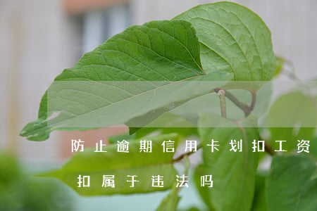 防止逾期信用卡划扣工资卡(工资被信用卡划扣属于违法吗?)