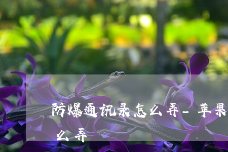 防爆通讯录怎么弄-苹果手机防爆通讯录怎么弄