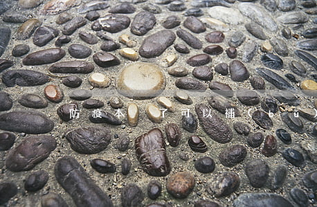防疫本丟了可以補(bǔ)辦嗎