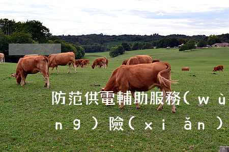 防范供電輔助服務(wù)的法律風(fēng)險(xiǎn)