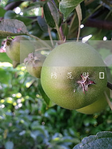 防范假發(fā)票如何識別