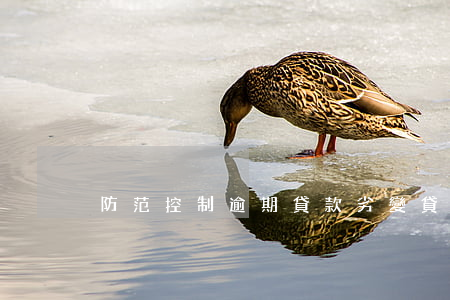 防范控制逾期貸款劣變(貸款逾期惡意逃避)