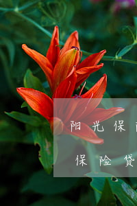 阳光保险贷款逾期一天会影响征信吗?-阳光保险贷款逾期一天会影响征信吗知乎