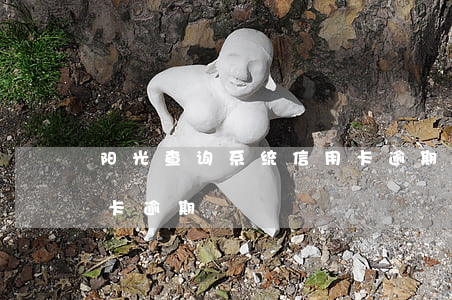 阳光查询系统信用卡逾期(阳光查询系统信用卡逾期)