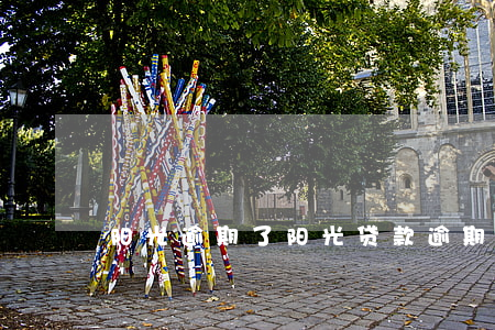 阳光逾期了(阳光贷款逾期)