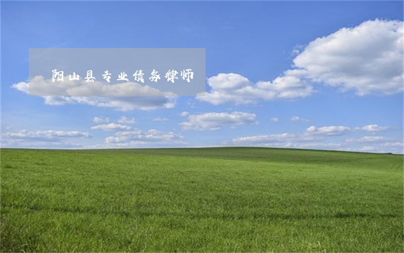 阳山县专业债务律师