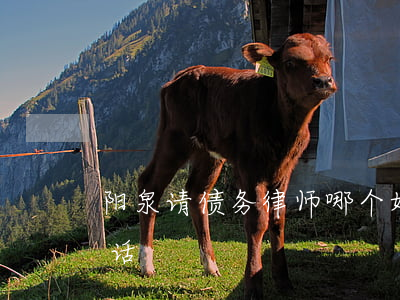 阳泉请债务律师哪个好(山西省阳泉市律师电话)