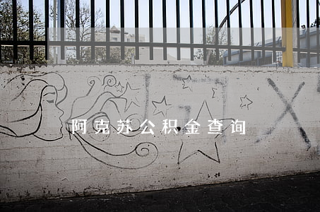 阿克苏公积金查询