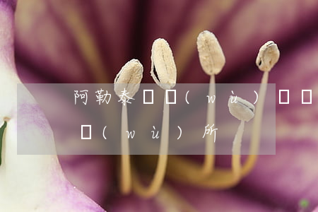 阿勒泰債務(wù)糾紛律師 阿勒泰律師事務(wù)所