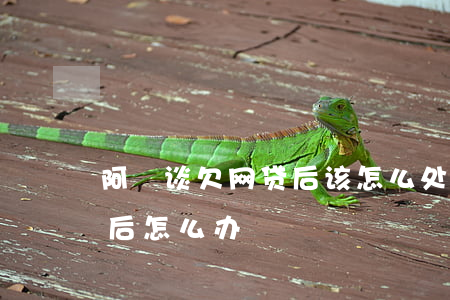 阿囧谈欠网贷后该怎么处理(网贷拖欠不还最后怎么办)