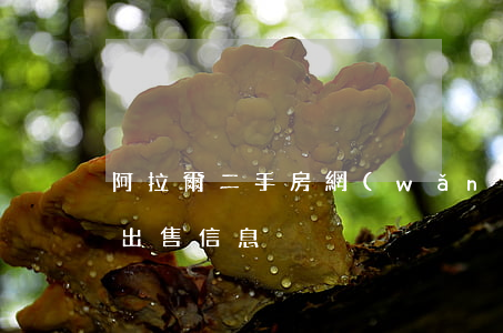 阿拉爾二手房網(wǎng)(阿拉爾二手房出售信息)