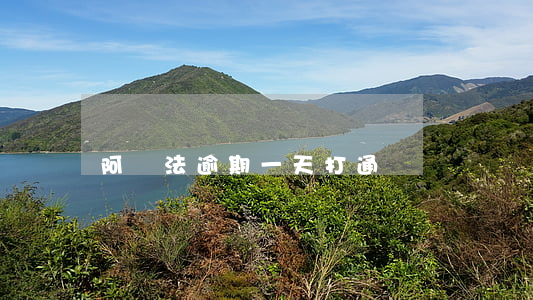 阿爾法逾期一天打通訊錄嗎