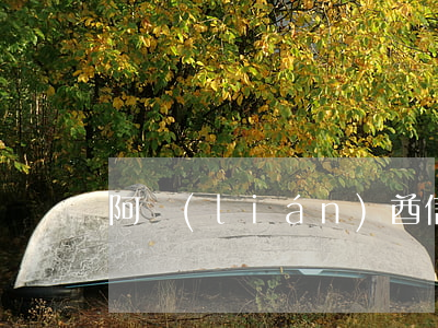 阿聯(lián)酋信用卡逾期案例