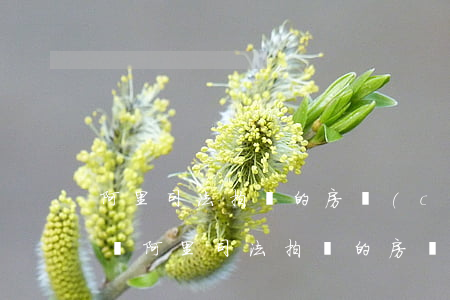 阿里司法拍賣的房產(chǎn)可以貸款嗎(阿里司法拍賣的房產(chǎn)可以貸款嗎)