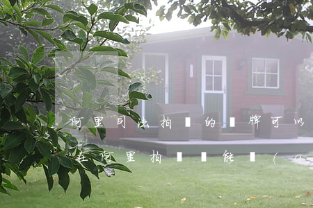 阿里司法拍賣的車牌可以過(guò)戶嗎(在阿里拍賣車能過(guò)戶么)