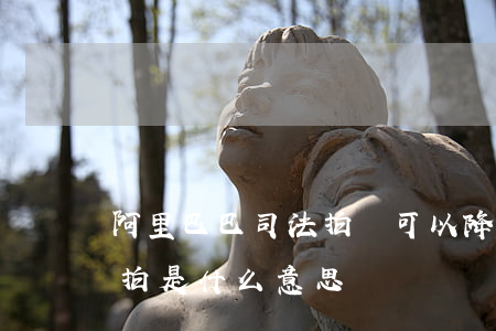 阿里巴巴司法拍賣可以降價嗎(阿里拍賣降價拍是什么意思)