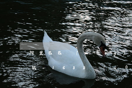 阿里巴巴網(wǎng)商貸可以一年后還款-1688網(wǎng)商貸