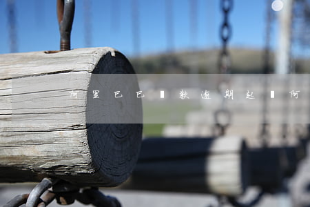 阿里巴巴貸款逾期起訴(阿里巴巴遭起訴)