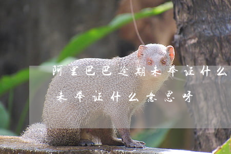 阿里巴巴逾期未举证什么意思(阿里巴巴逾期未举证什么意思呀)