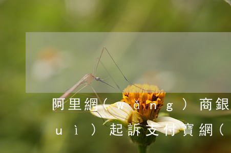 阿里網(wǎng)商銀行逾期多久會(huì)起訴(支付寶網(wǎng)商銀行欠款逾期會(huì)有什么后果)