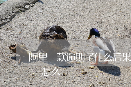 阿里貸款逾期了什么后果(支付寶貸款逾期了會怎么樣嗎)