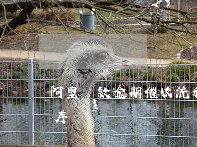 阿里貸款逾期催收流程(銀行貸款逾期催收程序)