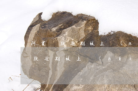 阿里貸款逾期被上門(mén)追債(阿里貸款逾期被上門(mén)追債)