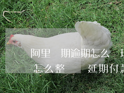 阿里賬期逾期怎么處理(阿里巴巴逾期的賬單怎么整時間延期付款)