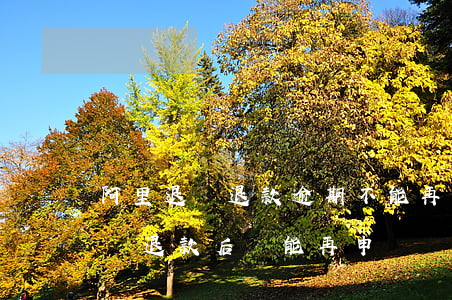 阿里退貨退款逾期不能再申請嗎(阿里巴巴拒絕退款后還能再申請嗎)