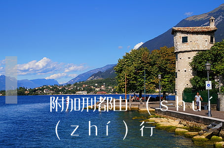 附加刑都由誰(shuí)來(lái)執(zhí)行