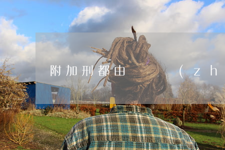 附加刑都由誰來執(zhí)行
