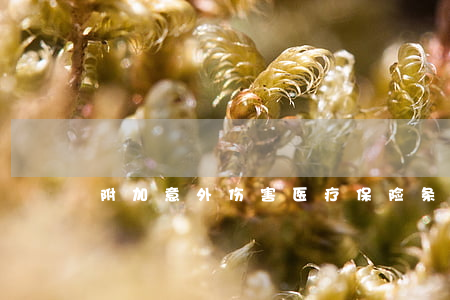 附加意外伤害医疗保险条款